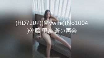 (HD720P)(Mywife)(No1004)佐藤 里奈 蒼い再会