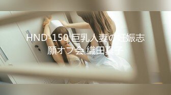 HND-150 巨乳人妻の妊娠志願オフ会 織田真子