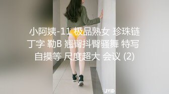 小阿姨-11 极品熟女 珍珠链丁字 勒B 翘臀抖臀骚舞 特写 自摸等 尺度超大 会议 (2)