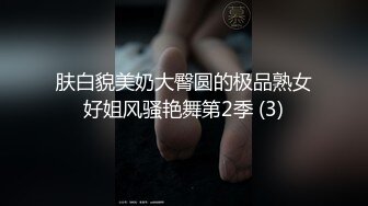 肤白貌美奶大臀圆的极品熟女好姐风骚艳舞第2季 (3)