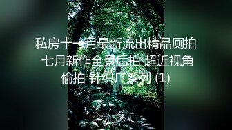 私房十一月最新流出精品厕拍 七月新作全景后拍 超近视角偷拍 针织厂系列 (1)