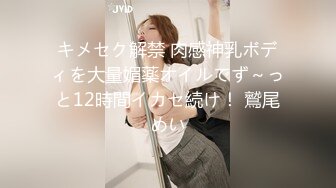 キメセク解禁 肉感神乳ボディを大量媚薬オイルでず～っと12時間イカセ続け！ 鷲尾めい