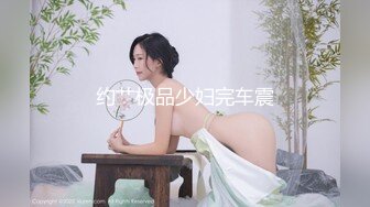 约艹极品少妇完车震