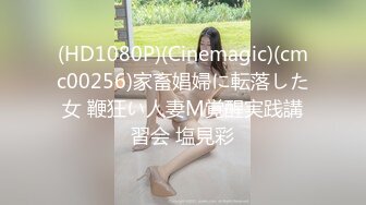 (HD1080P)(Cinemagic)(cmc00256)家畜娼婦に転落した女 鞭狂い人妻M覚醒実践講習会 塩見彩